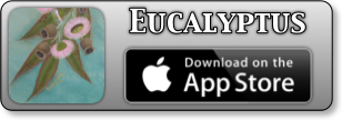 Eucalyptus